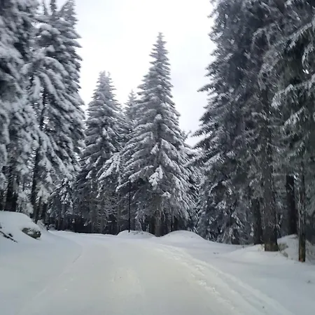 Apartman Kutija * Kopaonik