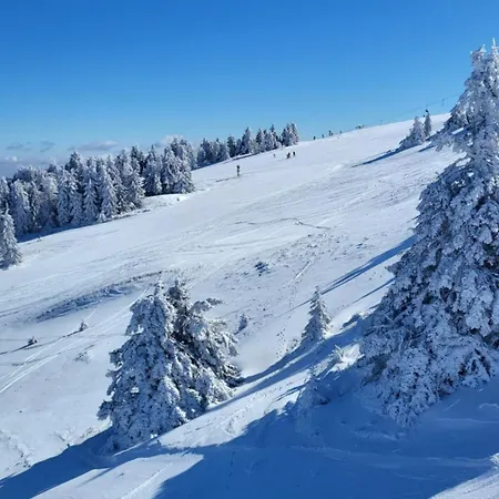 Apartment Apartman Kutija Kopaonik