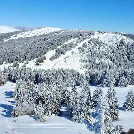 Apartman Kutija * Kopaonik