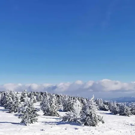 Apartament Kutija Kopaonik