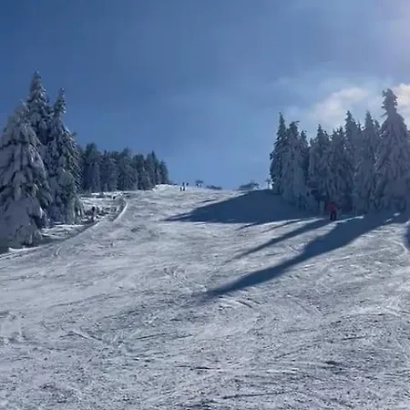 Kutija