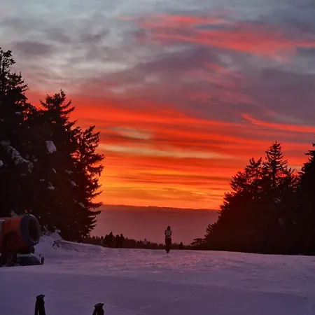 Apartman Kutija * Kopaonik